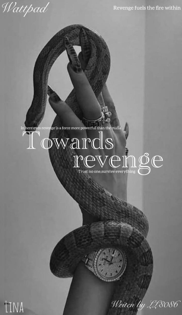 Towards revenge 