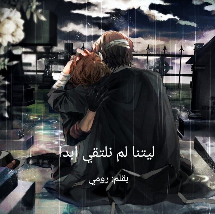 ليتنا لم نلتقي ابدا