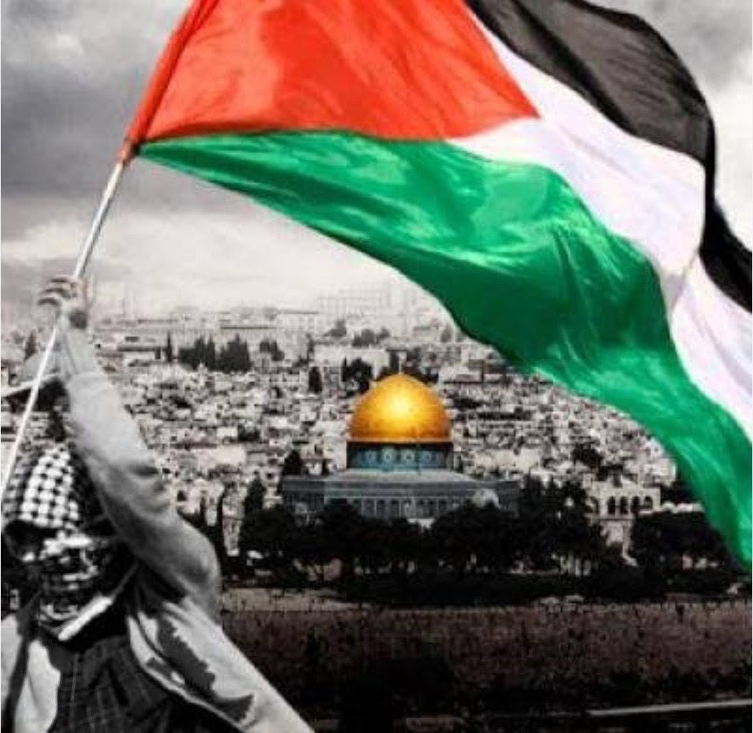 حكاية ارض لا تنسى ✌️💚