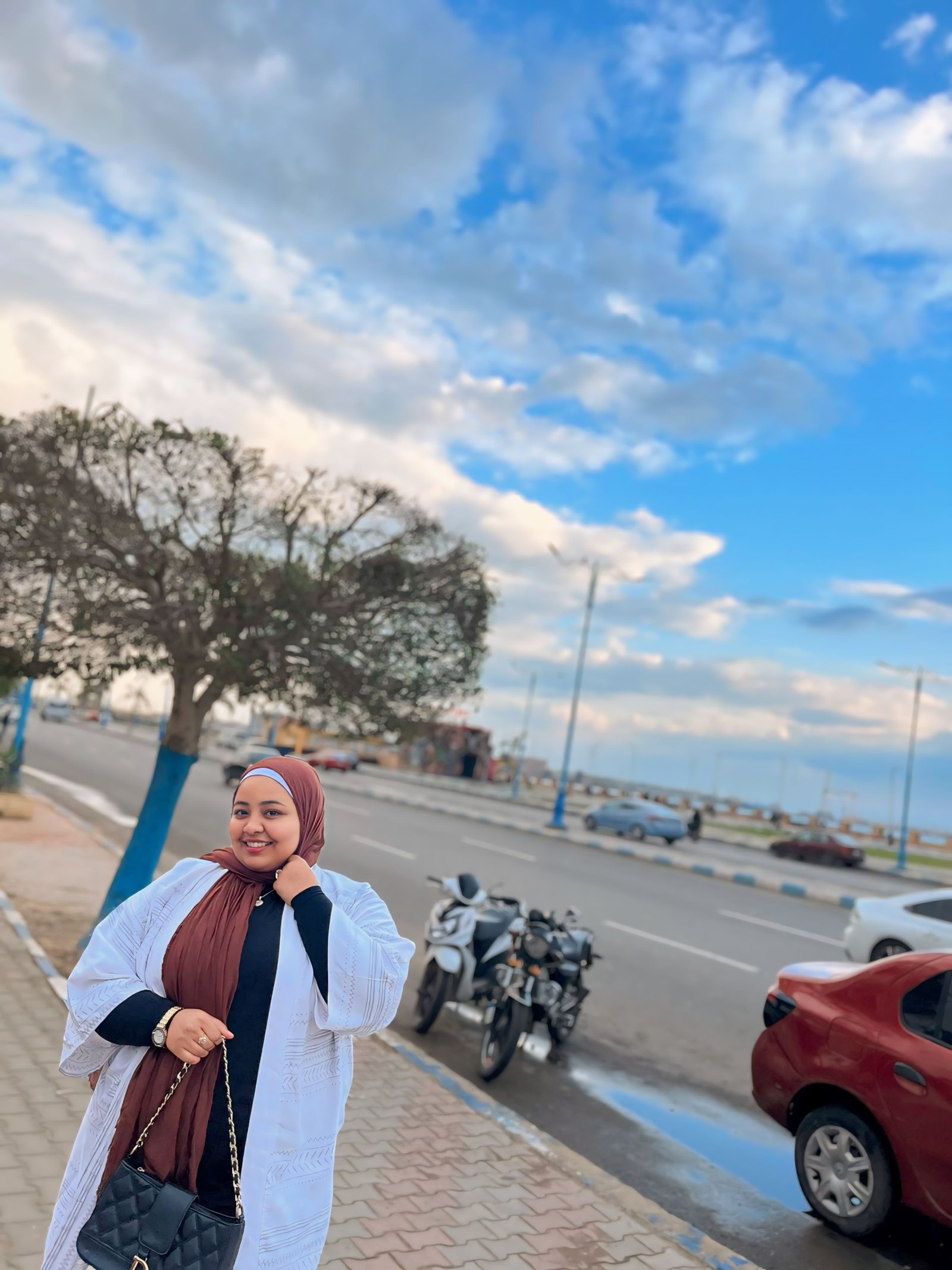 المؤلف