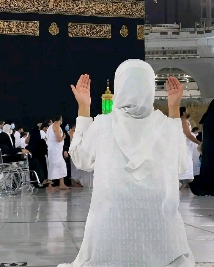 المؤلف
