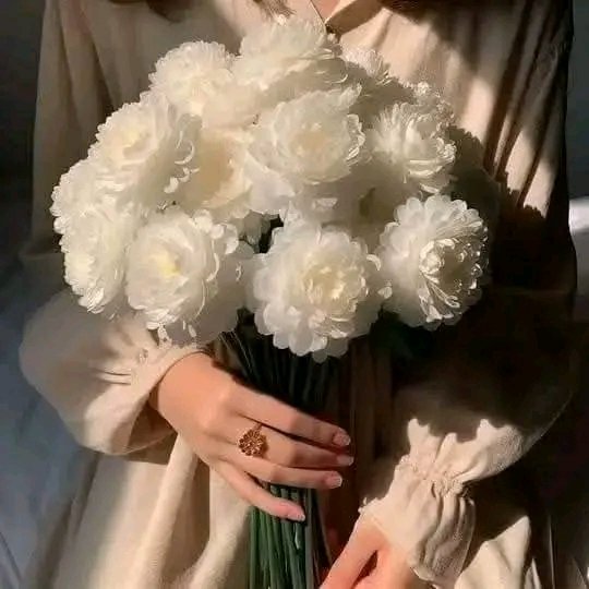 بتلات اللوتس💕