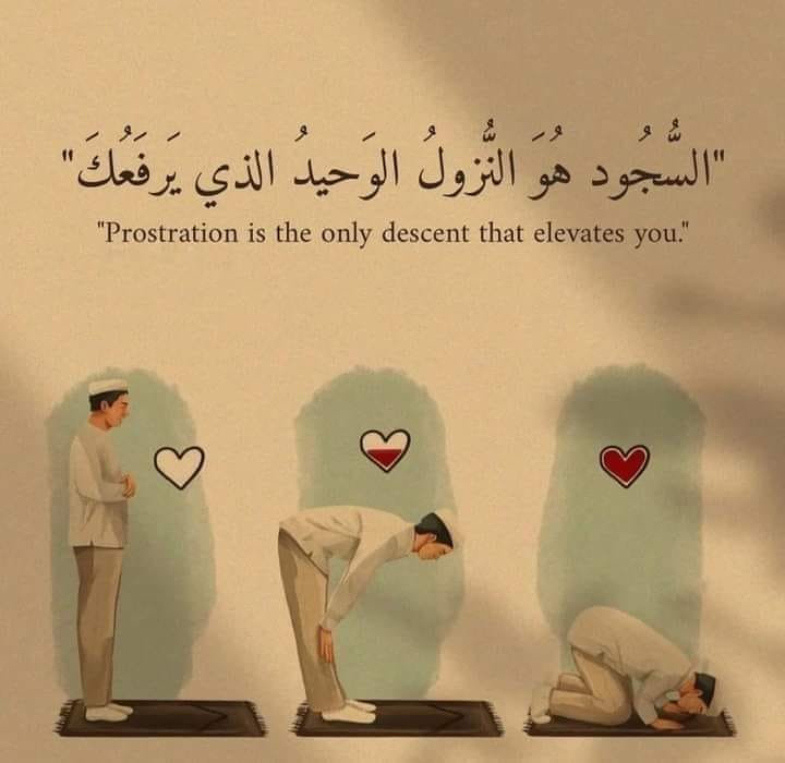 المؤلف