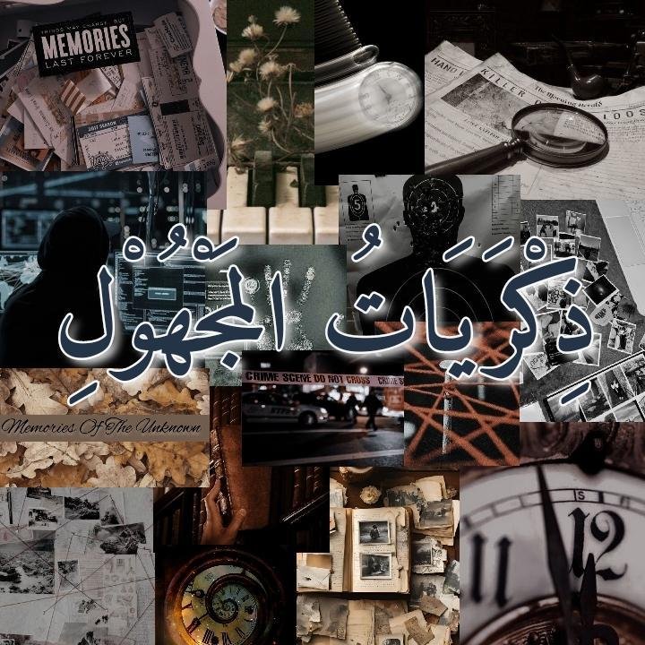 المؤلف