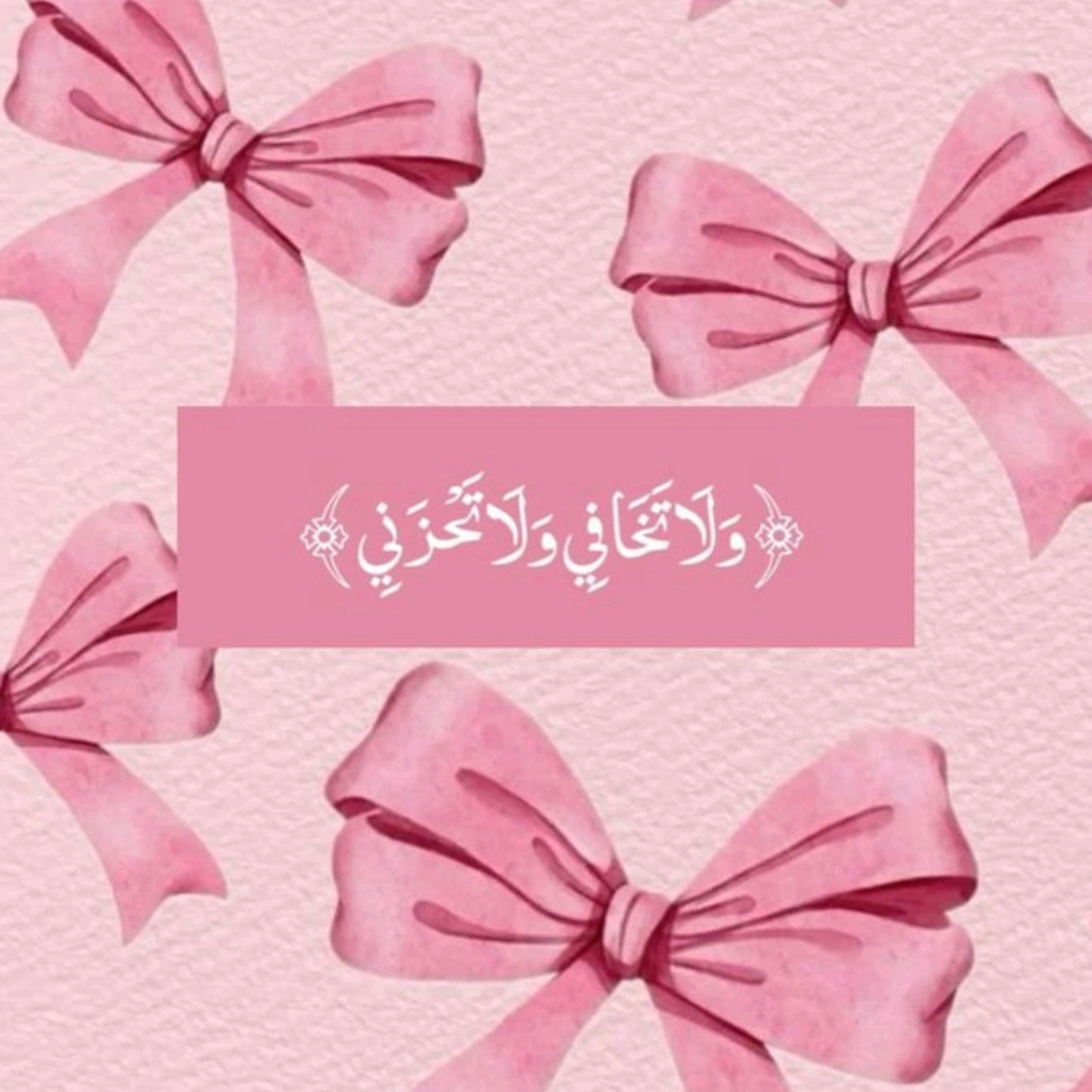 المؤلف