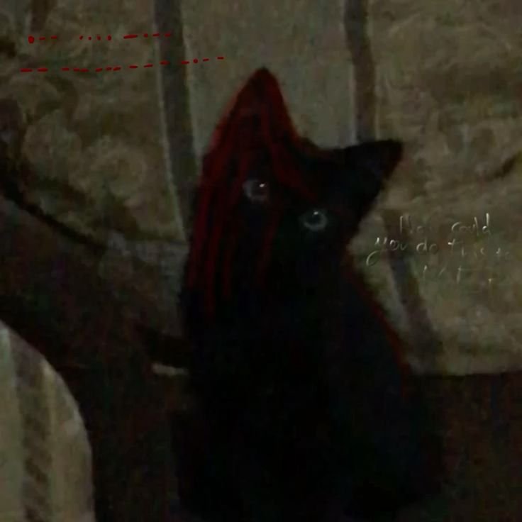 المؤلف