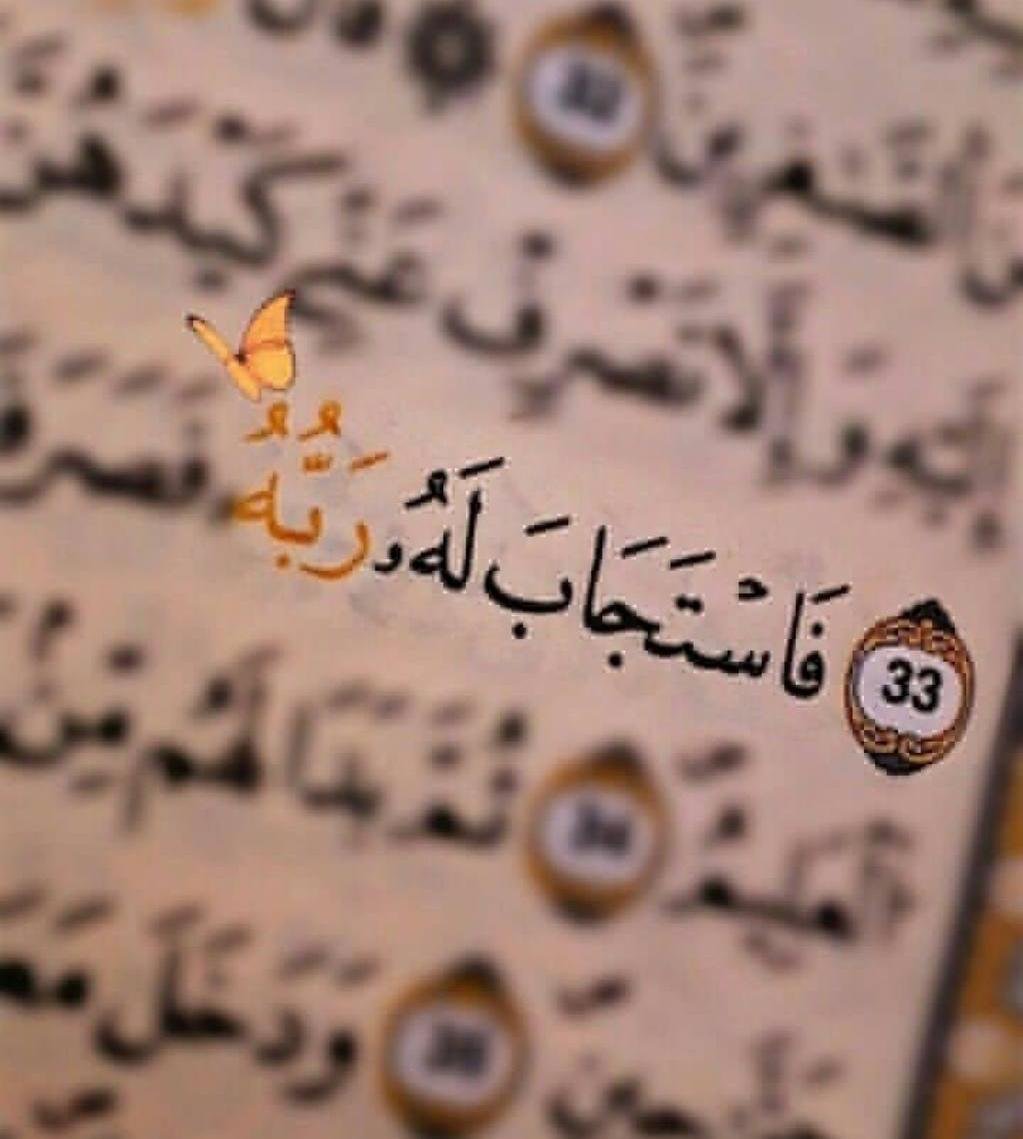 المؤلف