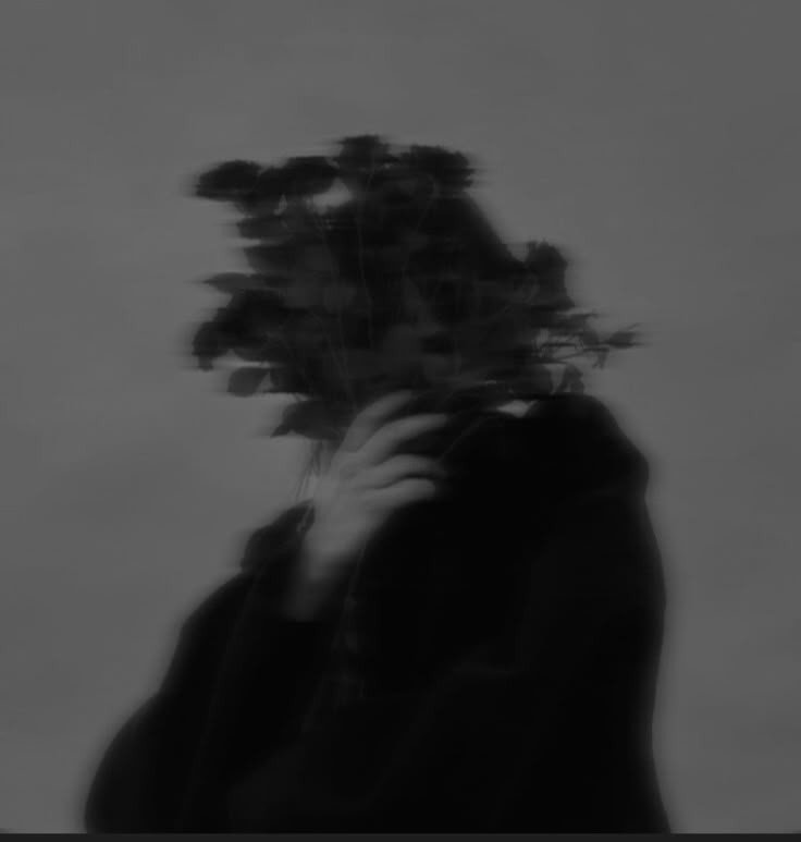 المؤلف