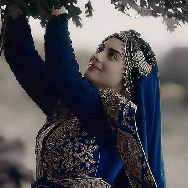 المؤلف