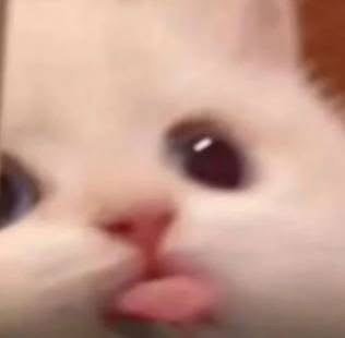 المؤلف