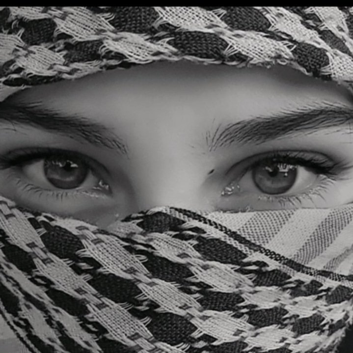 المؤلف