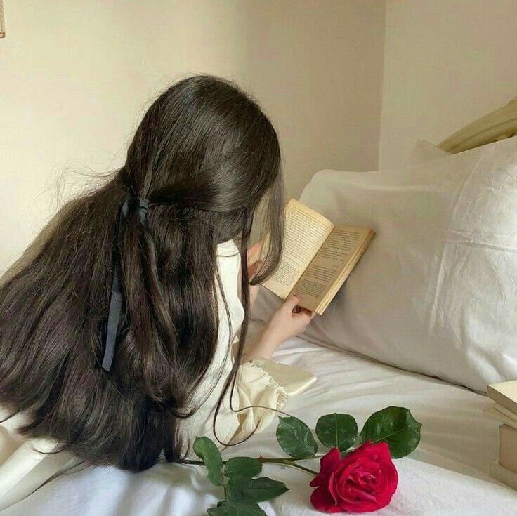 المؤلف