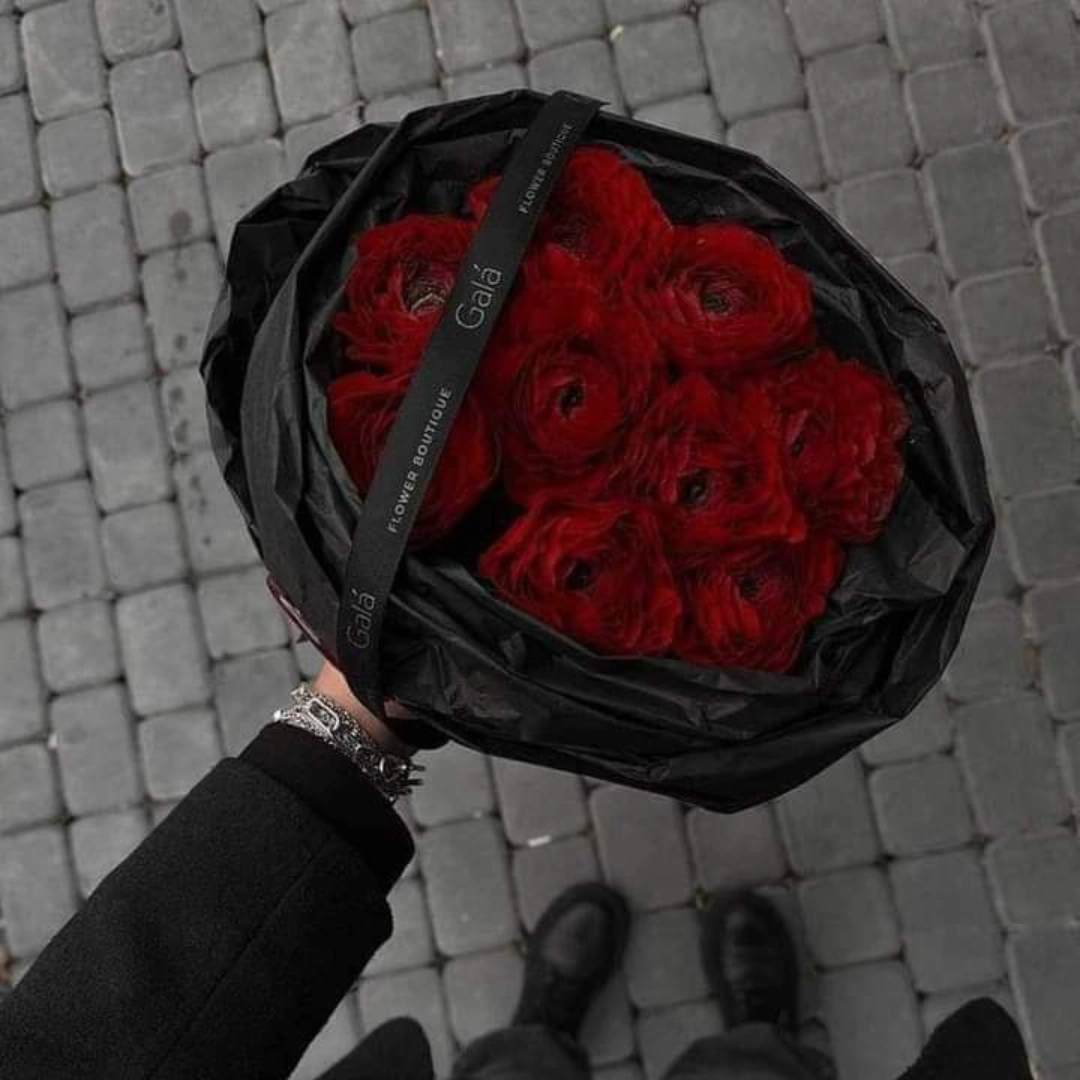 المؤلف