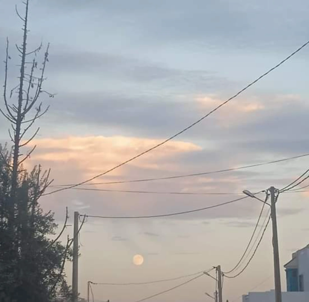 المؤلف