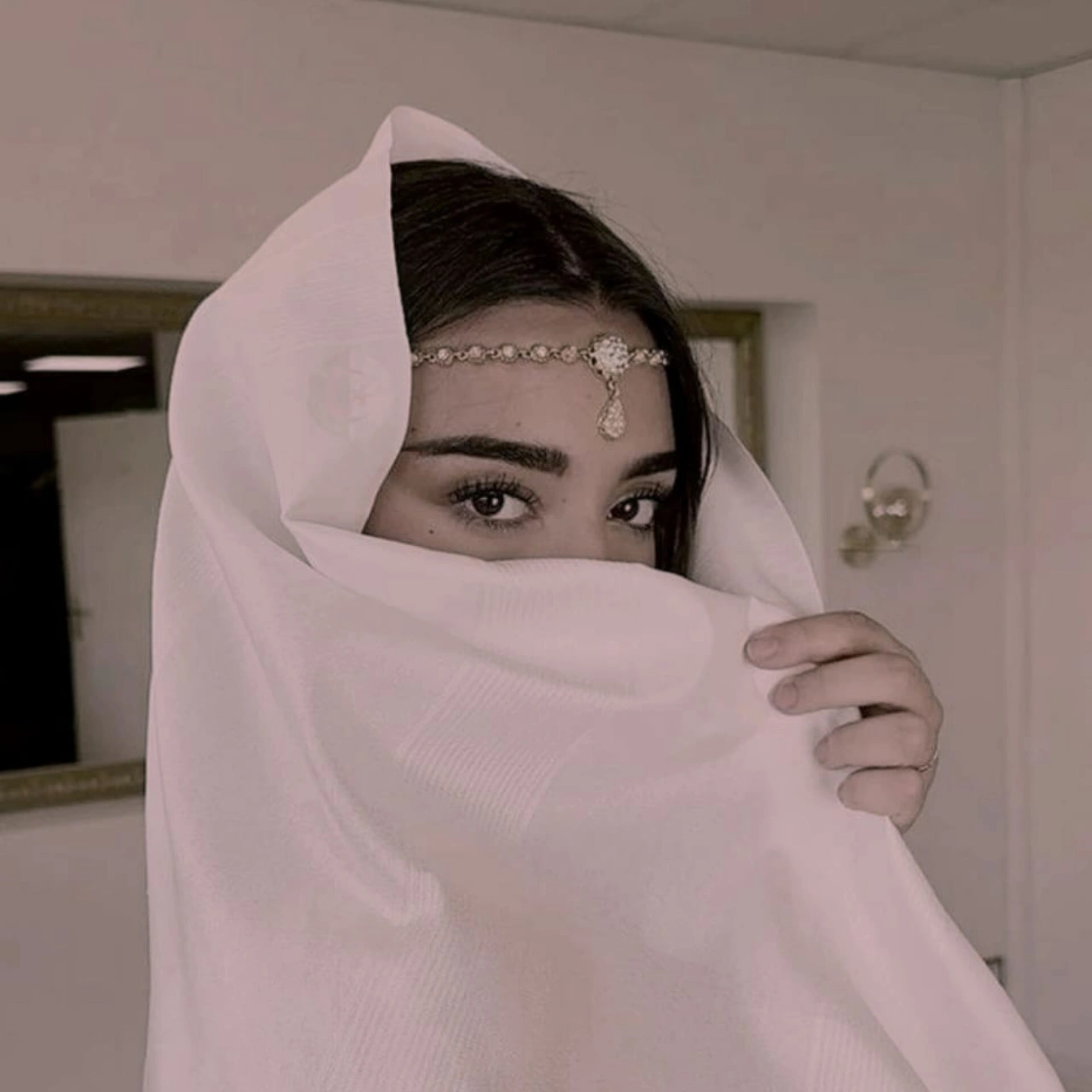 المؤلف