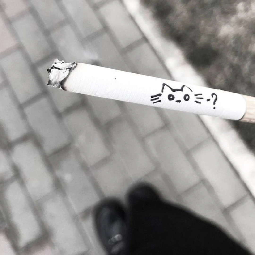 المؤلف