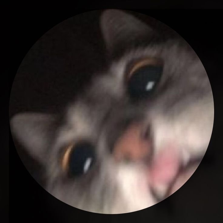 المؤلف