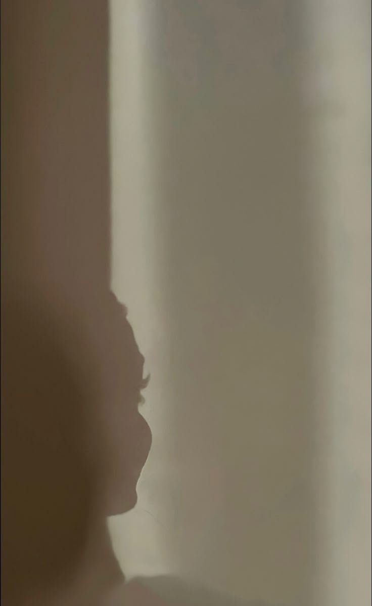 المؤلف