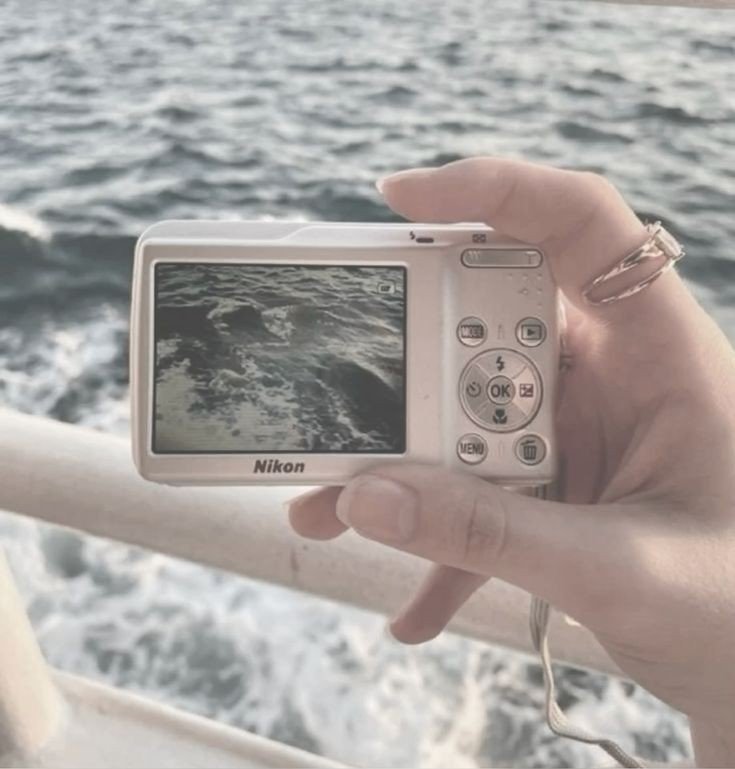 المؤلف