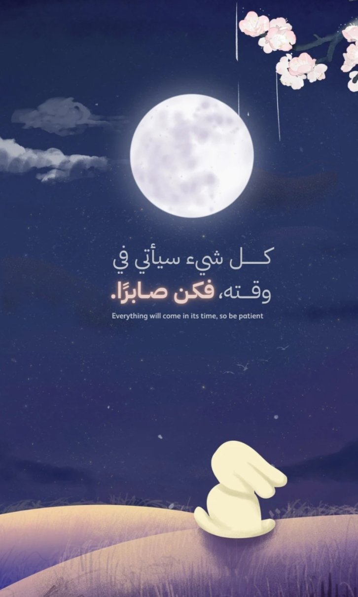 المؤلف