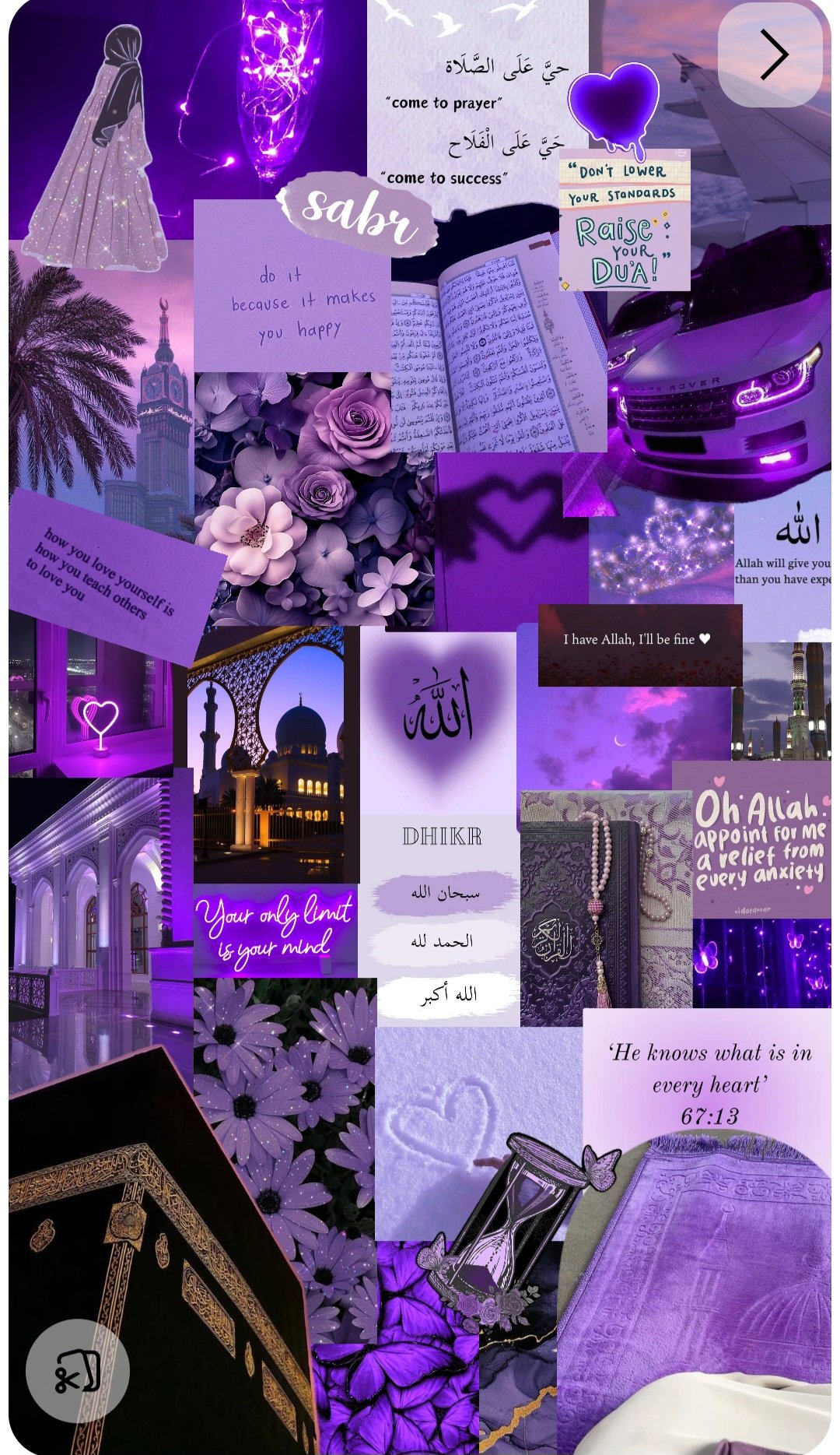 المؤلف