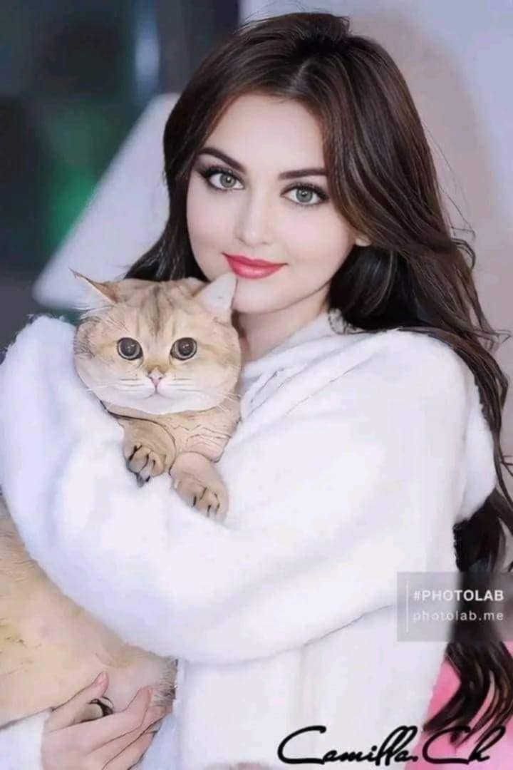 المؤلف