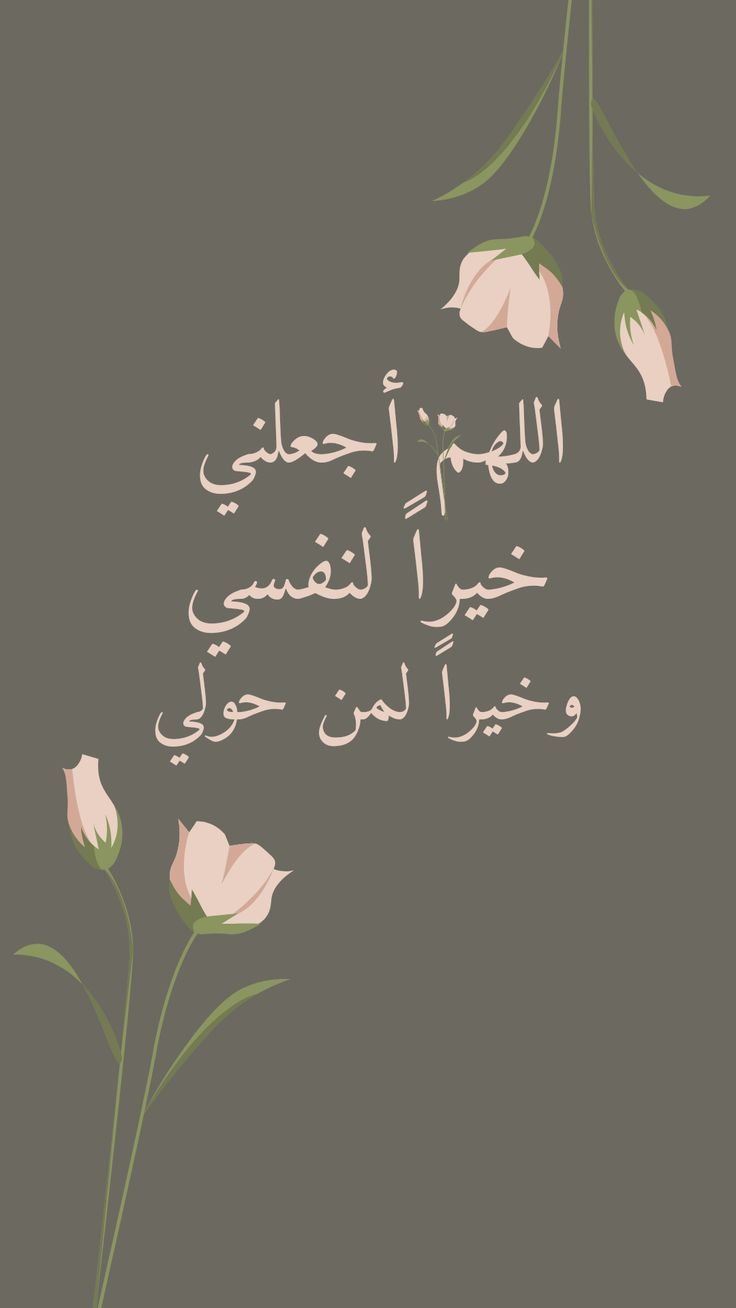 المؤلف