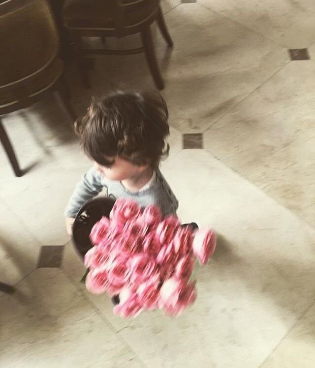 المؤلف