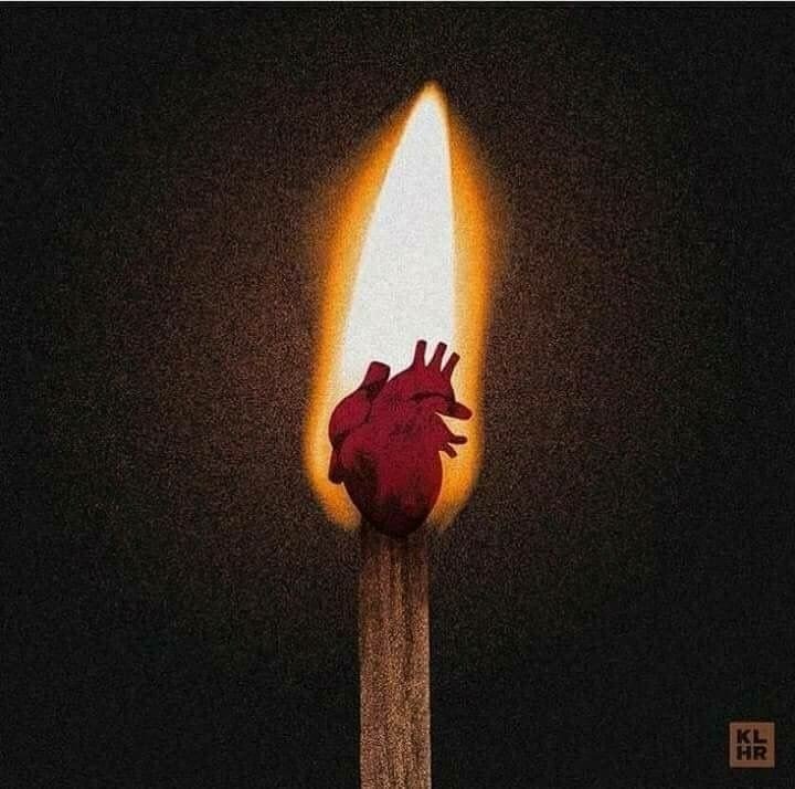 المؤلف
