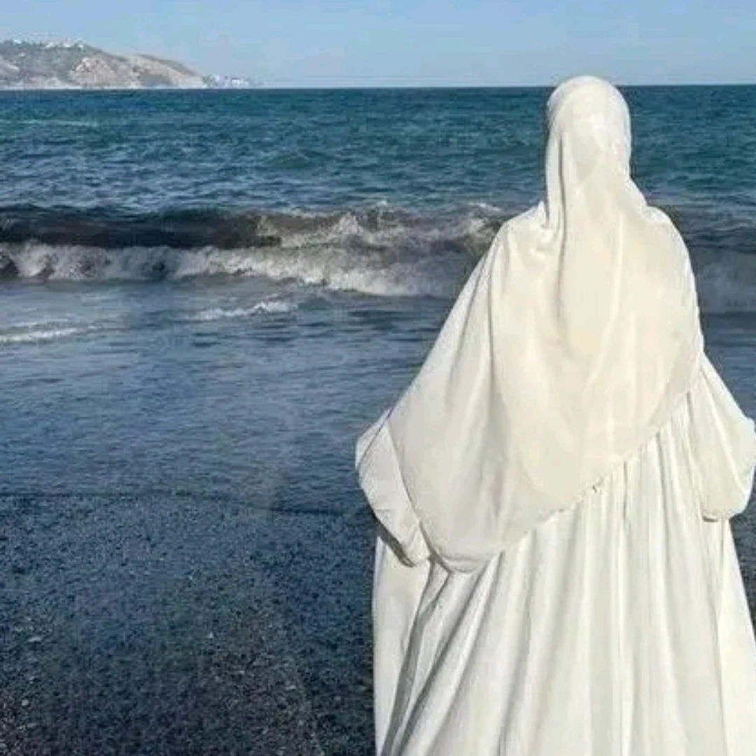 المؤلف