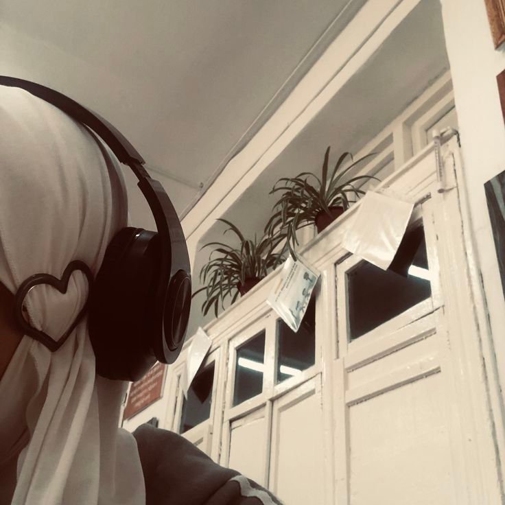 المؤلف