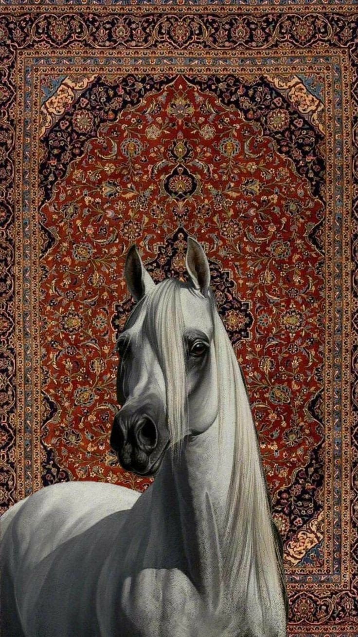 المؤلف