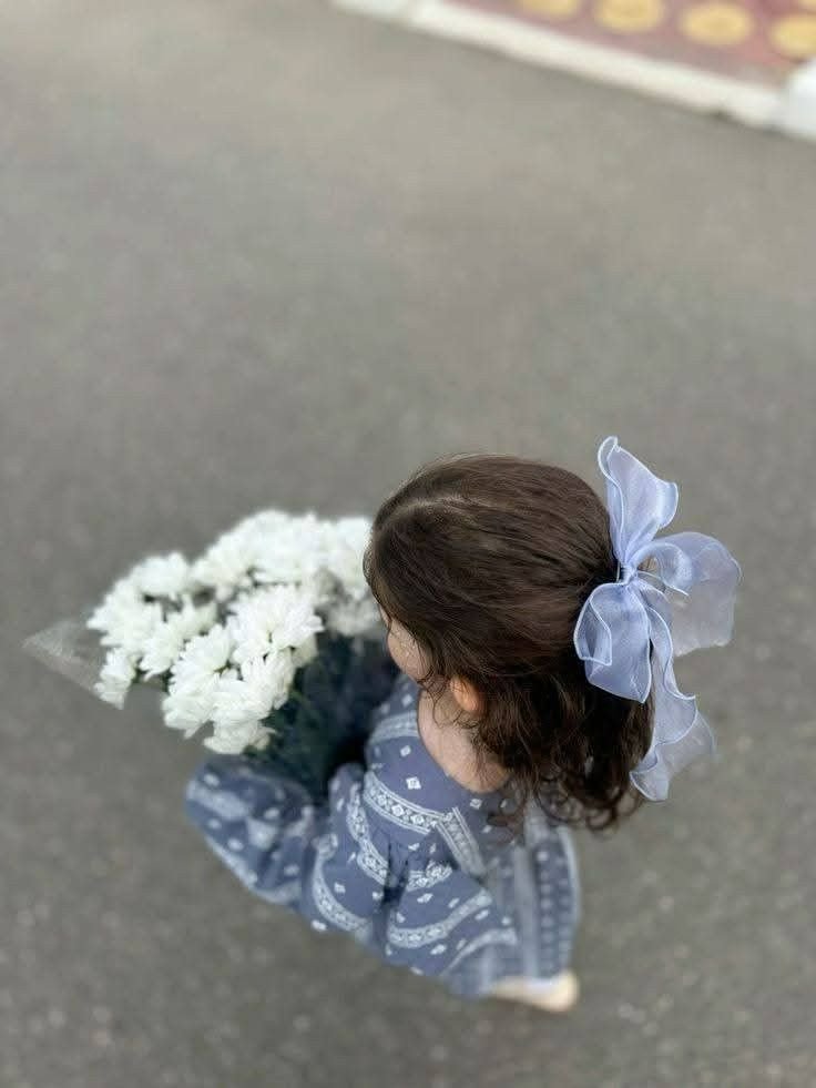 المؤلف