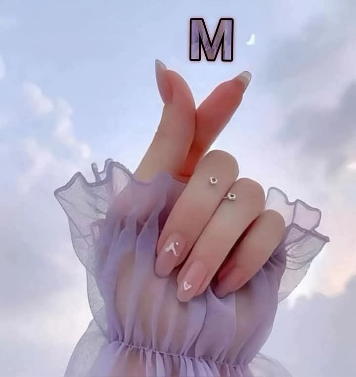 المؤلف