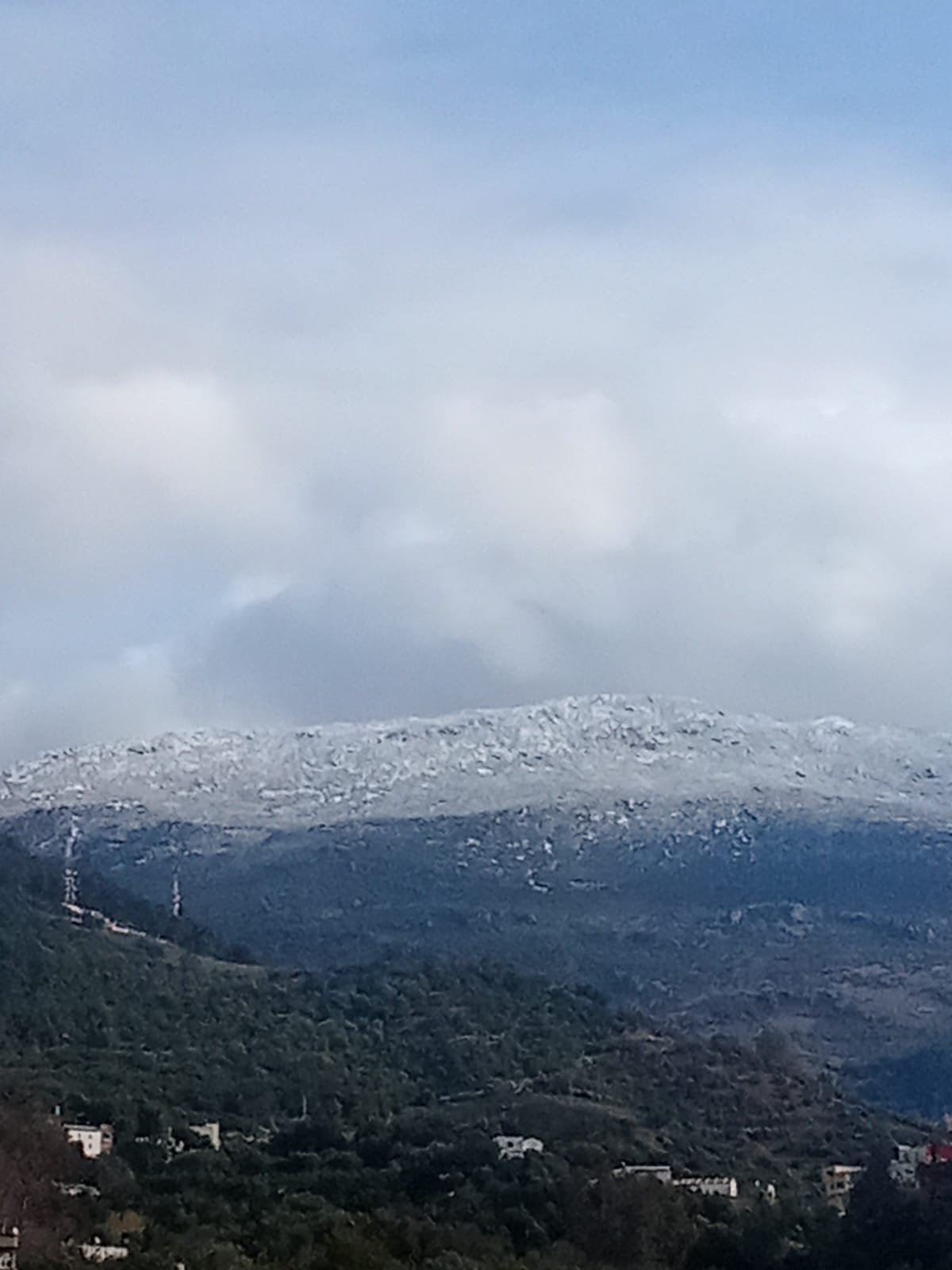 المؤلف