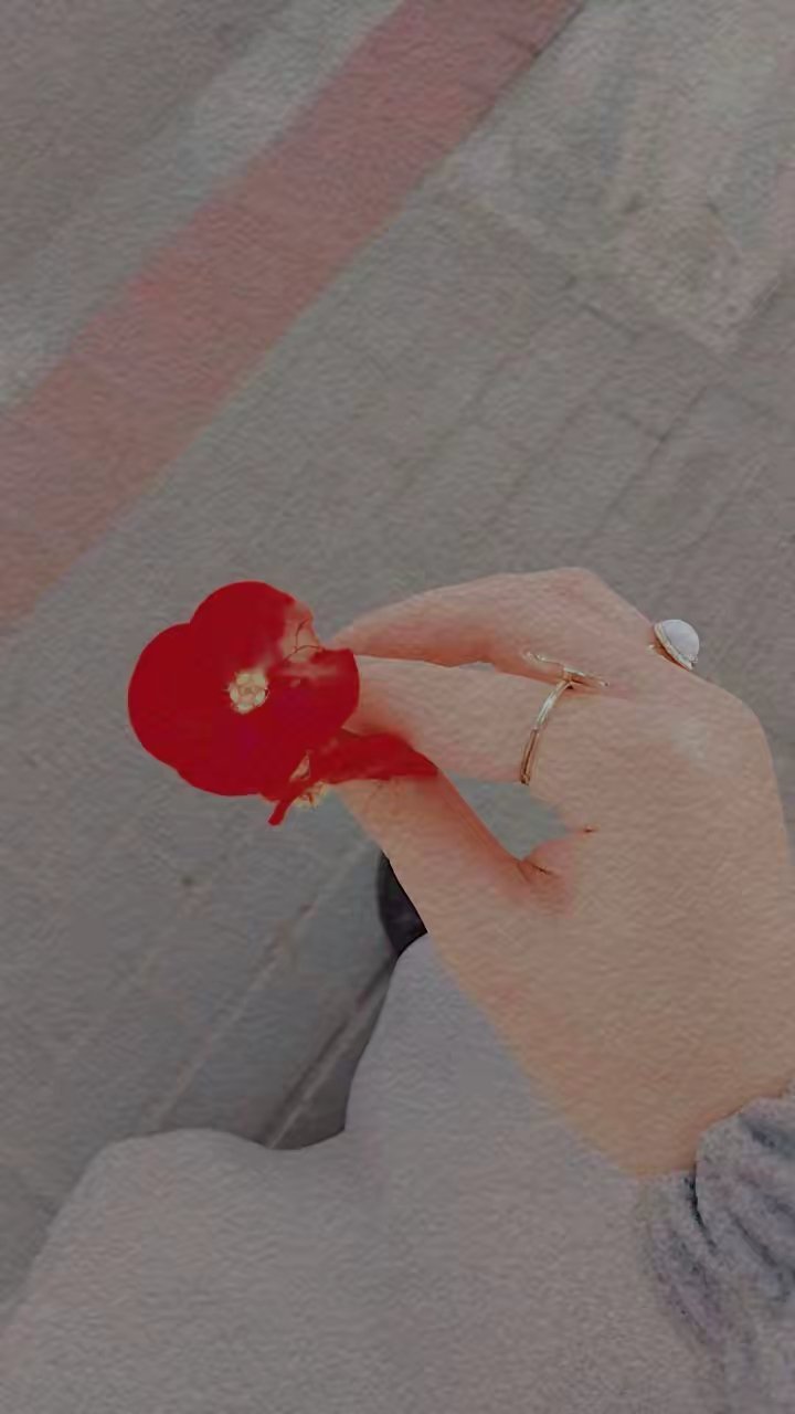 المؤلف
