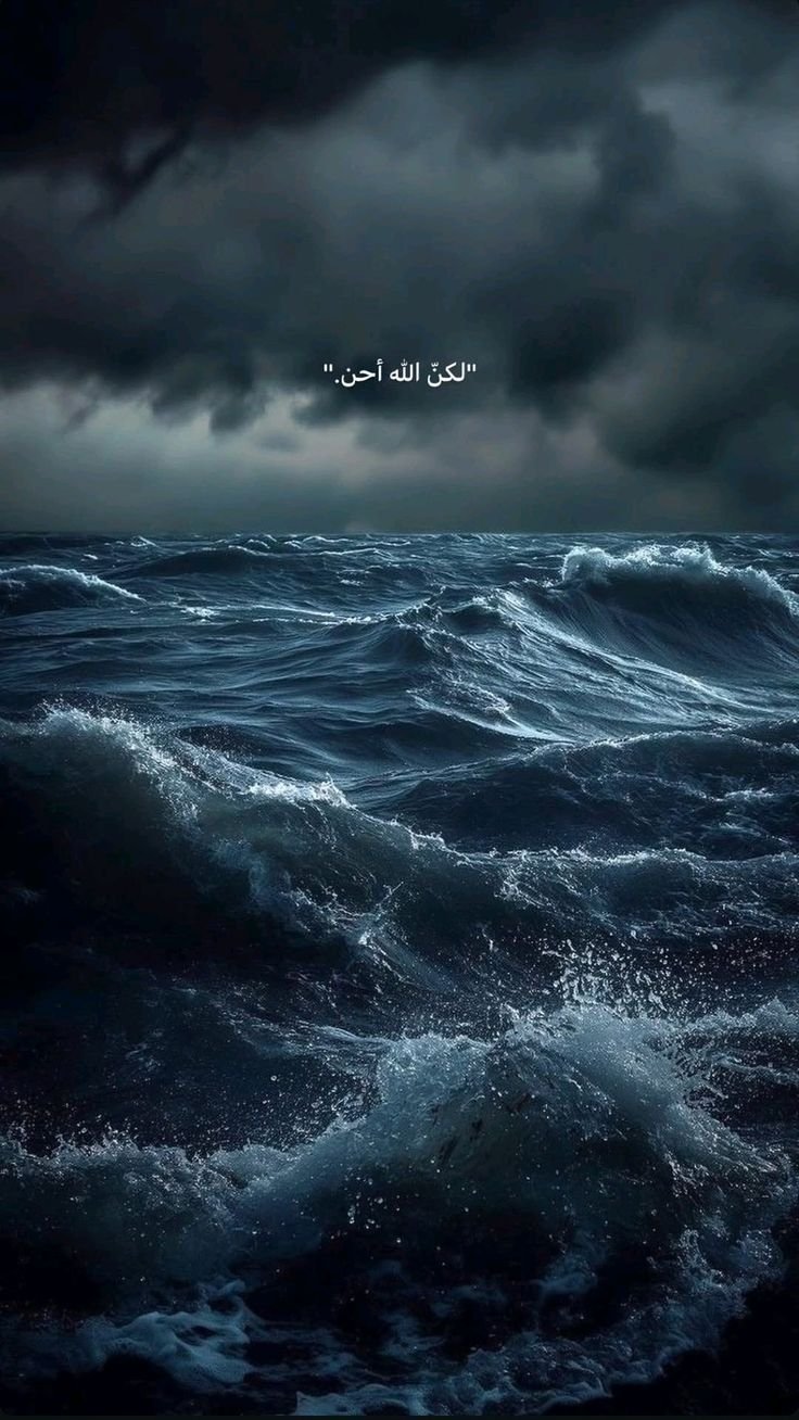 المؤلف