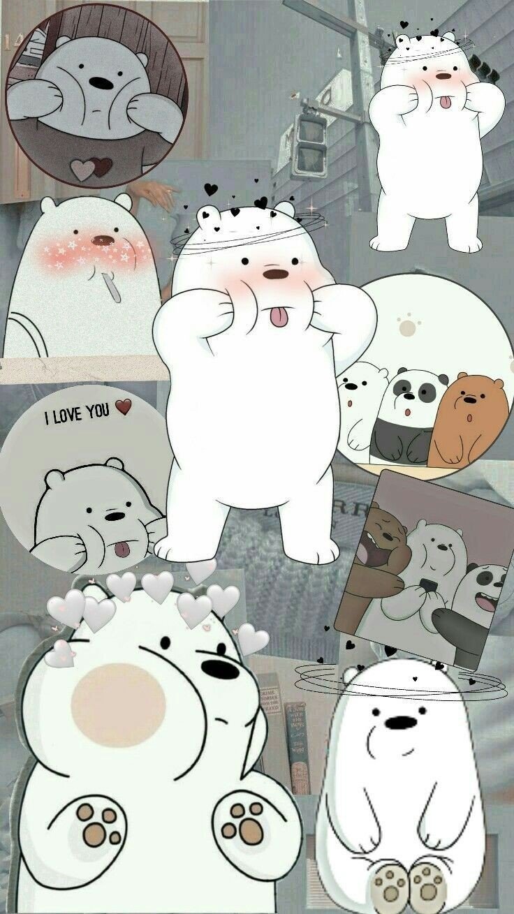 المؤلف