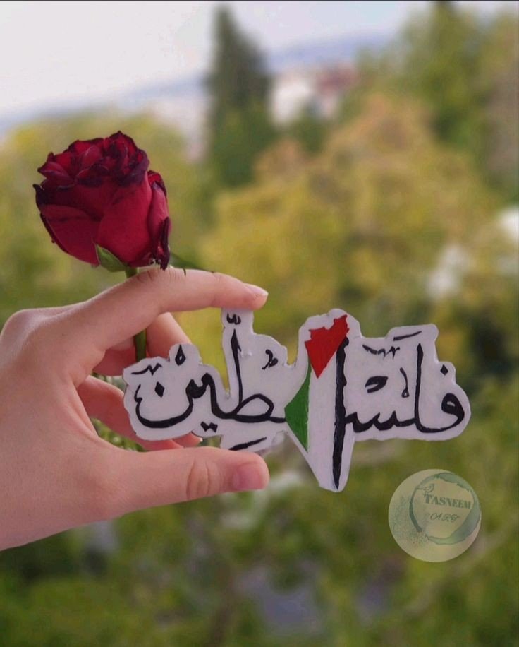 المؤلف