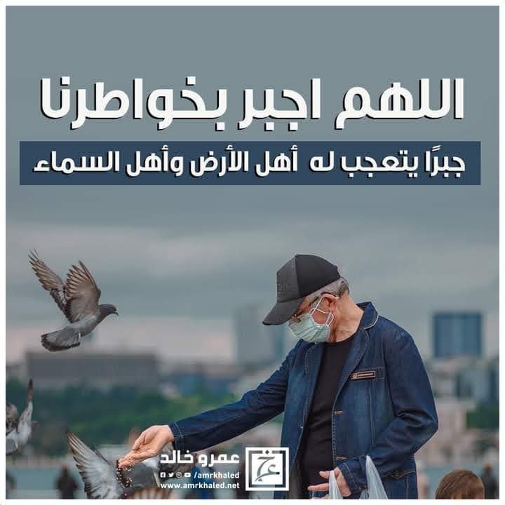 المؤلف