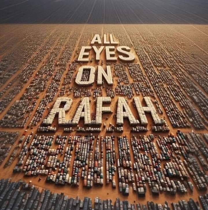 المؤلف