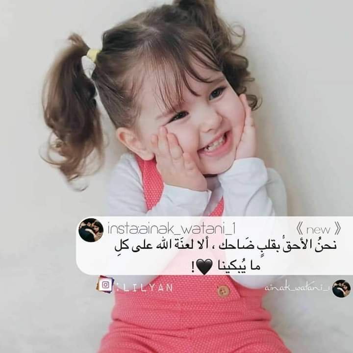 المؤلف