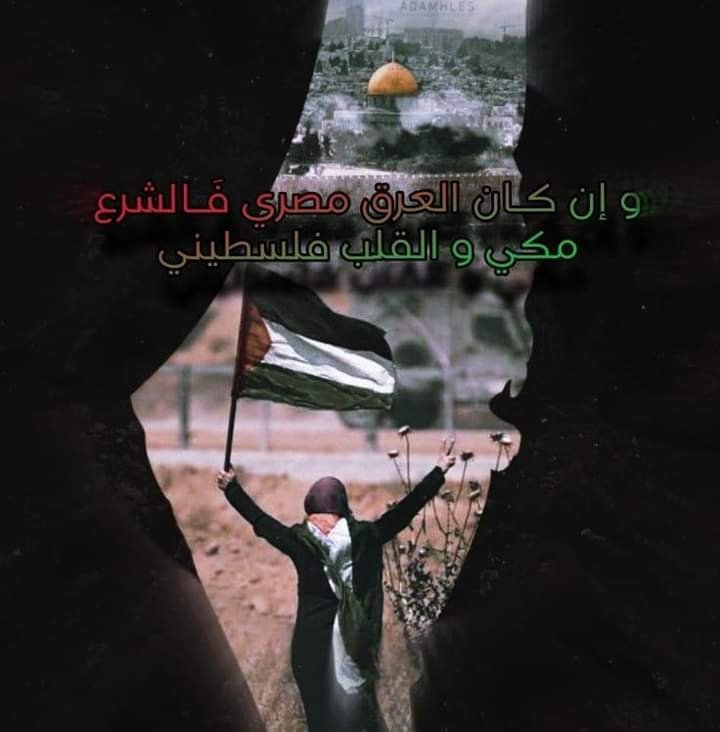 المؤلف