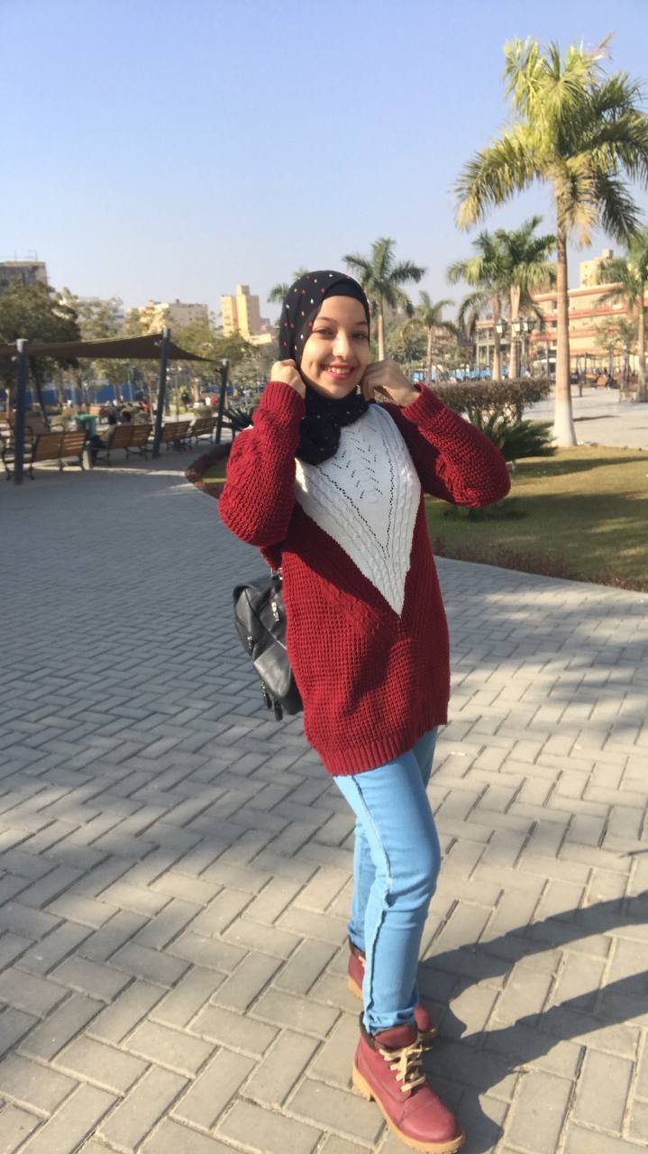المؤلف