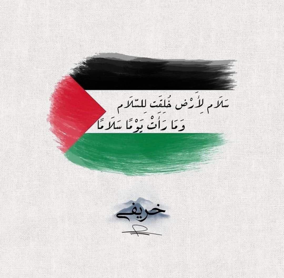 المؤلف