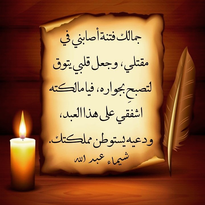 المؤلف