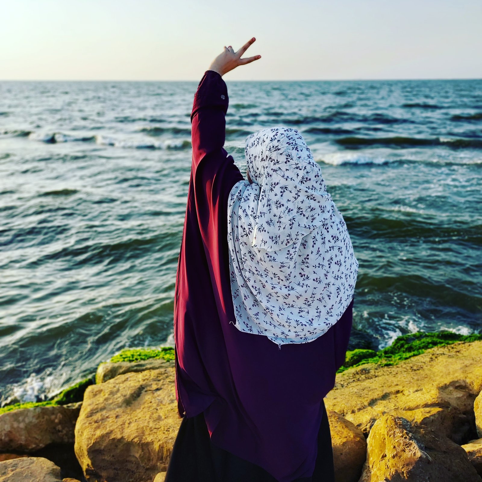 المؤلف