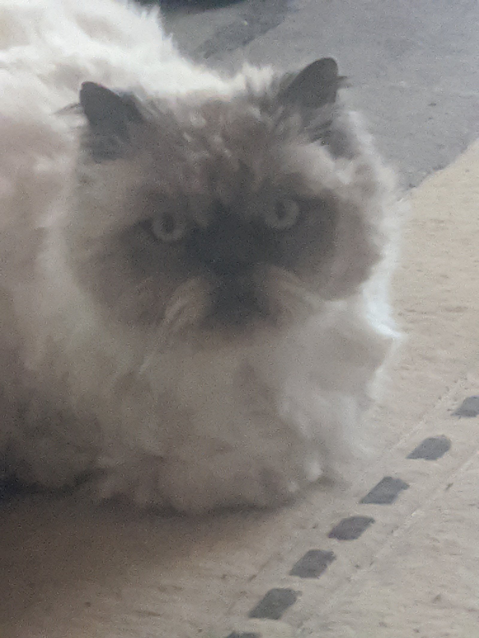 suuuuuuuu