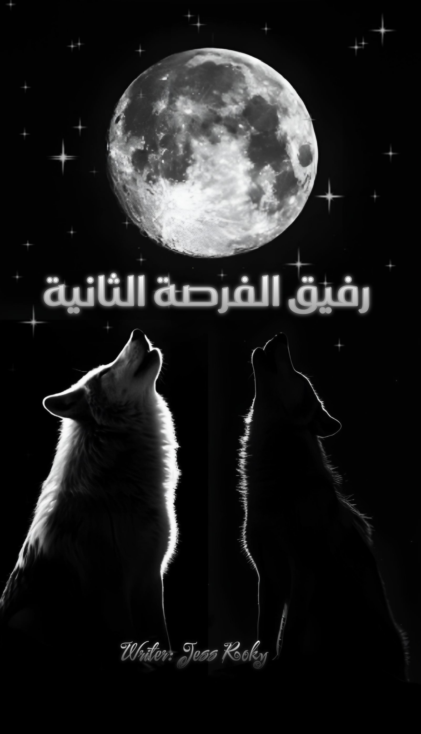 رفيق الفرصة الثانية