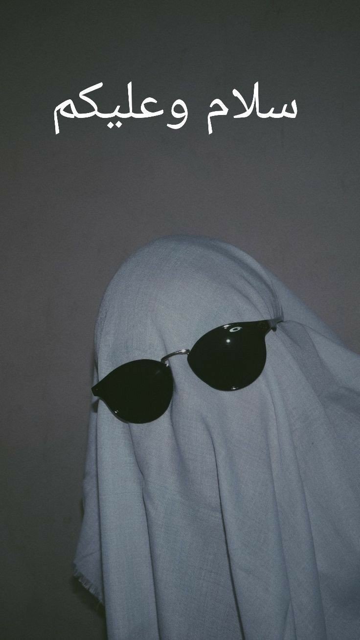 المؤلف